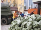 Вывоз мусора. Грузчики. перезды. Краснодар.
