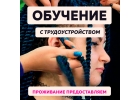 Вакансия мастера африканских косичек и временного тату